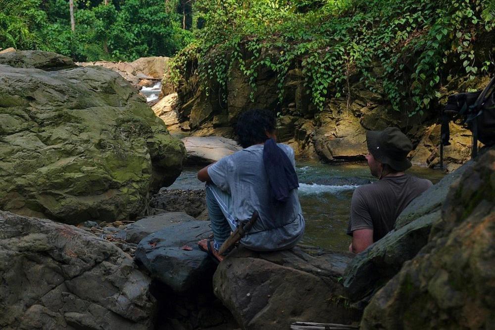 Tropical Jungle Lodge & Jungle Trekking Bukit Lawang Exterior photo