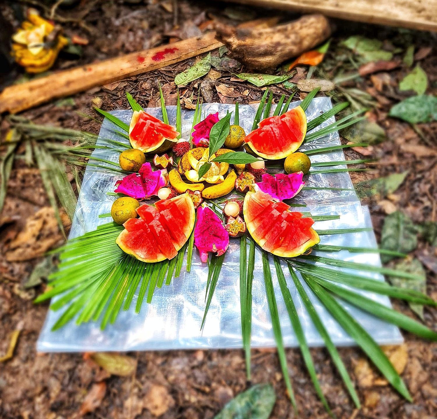 Tropical Jungle Lodge & Jungle Trekking Bukit Lawang Exterior photo