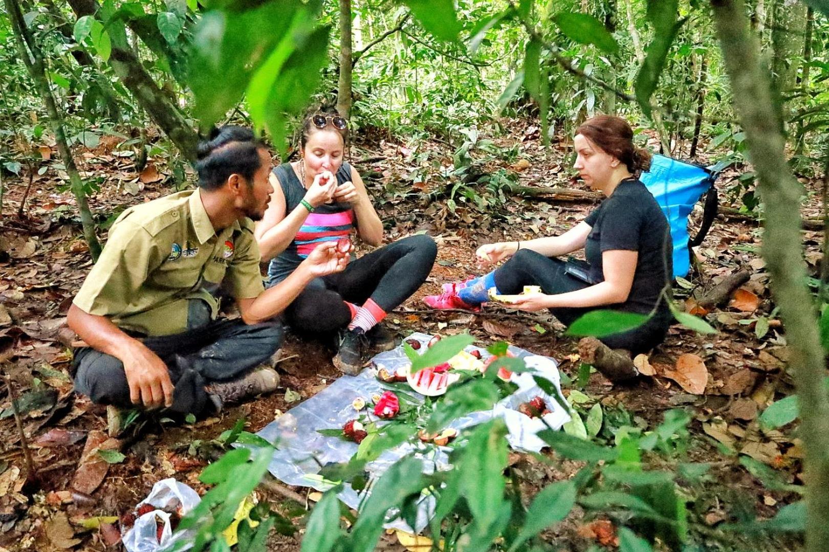 Tropical Jungle Lodge & Jungle Trekking Bukit Lawang Exterior photo