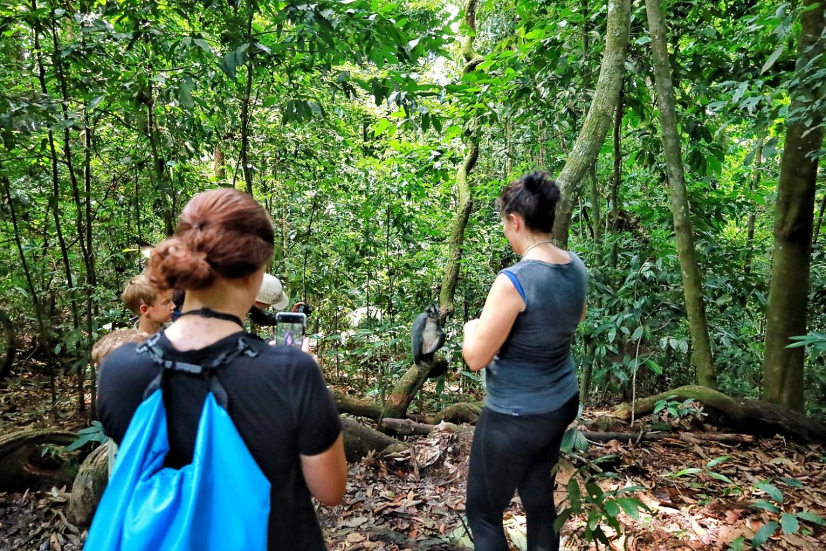 Tropical Jungle Lodge & Jungle Trekking Bukit Lawang Exterior photo