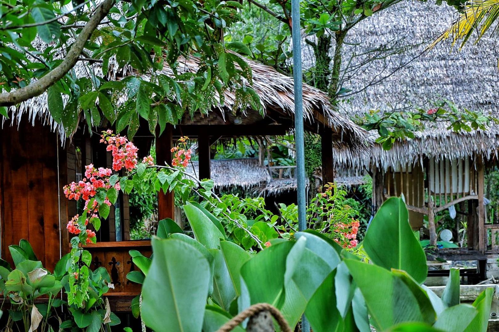 Tropical Jungle Lodge & Jungle Trekking Bukit Lawang Exterior photo