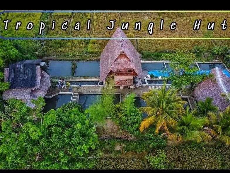 Tropical Jungle Lodge & Jungle Trekking Bukit Lawang Exterior photo