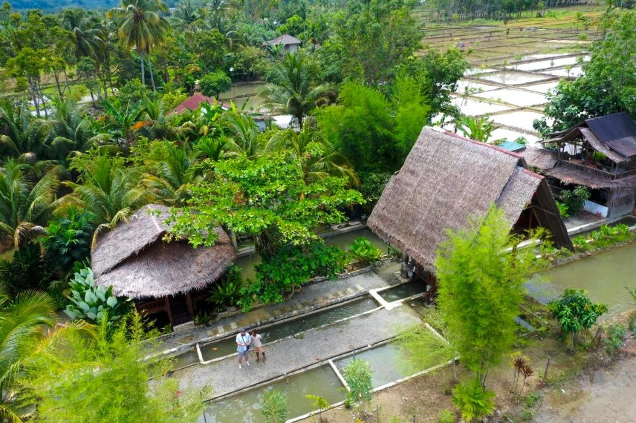 Tropical Jungle Lodge & Jungle Trekking Bukit Lawang Exterior photo